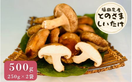 とのさましいたけ(生しいたけ) 500g (250g×2袋) 福田農産株式会社五泉工場