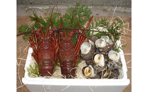 活 伊勢海老 活 さざえ セット A 丸池 伊勢えび イセエビ えび 壺焼 高級 鮮魚 海鮮 魚介 刺身 焼き物 汁物 海鮮 特産 海の幸 新鮮 三重県 南伊勢町 伊勢志摩