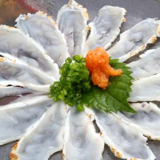 【4回定期便】九州産天然ふぐたたき刺身7皿セット【001-0215】