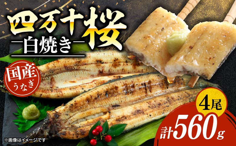 
            【通常用】極上国産うなぎ四万十桜　白焼き約140g×4尾 | 完全無投薬 うなぎ 鰻 白焼き 国産 四万十鰻 ウナギ 蒲焼き 調理済み タレ付き ギフト（お歳暮/お正月）高級 お取り寄せ グルメ ウナギ 食べ比べ 冷凍 家庭用
          