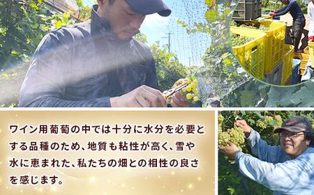 24-07T100 ワイン720ml×2本セット【ワインファームとちお】