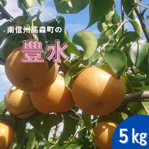 【南信州高森産】梨(豊水)5kg ＜9月中旬より順次発送＞