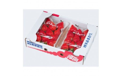 ＜2027年1月～2月発送＞博多あまおう約250ｇ×６