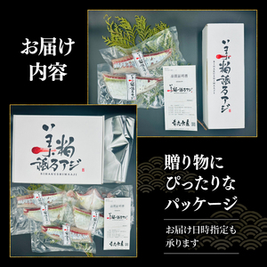 【 シマアジ 】 シマアジ美粕祇万2人前