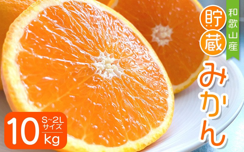 
            【先行予約】S～2L サイズおまかせ 紀美野町産 貯蔵みかん 10kg【2026年1月中旬～2月下旬に順次発送致】/ みかん 旬 蜜柑 ミカン 柑橘 果物 フルーツ 和歌山県 紀美野【frt007A】
          