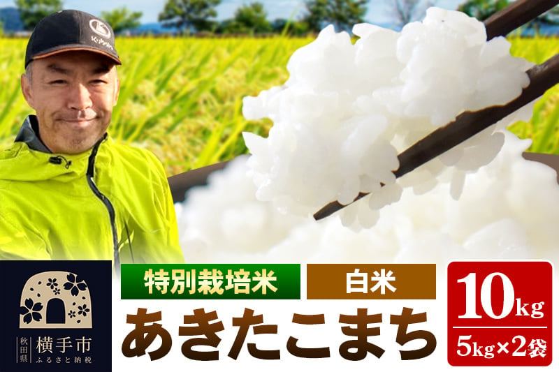 
秋田県 横手市 【白米】令和6年産 秋田県産 特別栽培米 あきたこまち 10kg（5kg×2袋）
