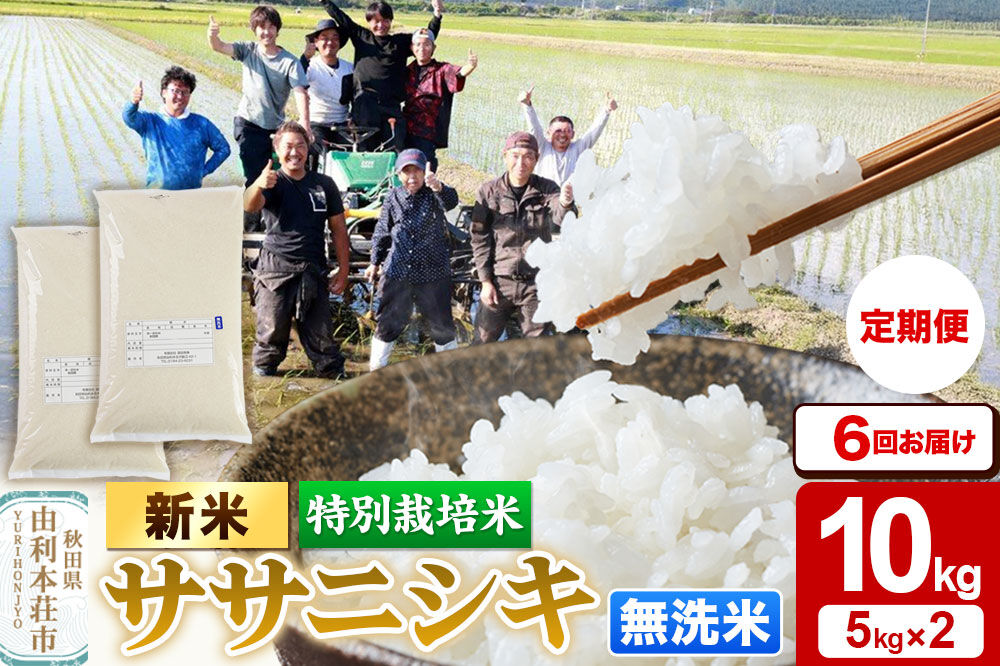 《令和8年産 新米》《定期便6ヶ月》【無洗米】特別栽培米 ササニシキ 10kg（5kg×2袋）秋田県産 [ササニシキ 新米 米 お米 こめ 無洗米 ブランド米 食卓 おにぎり 秋田県産 秋田]
