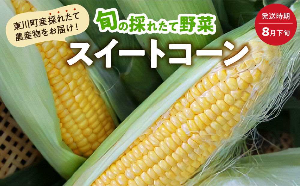 
            【8月下旬発送】旬の採れたて野菜「スイートコーン」
          