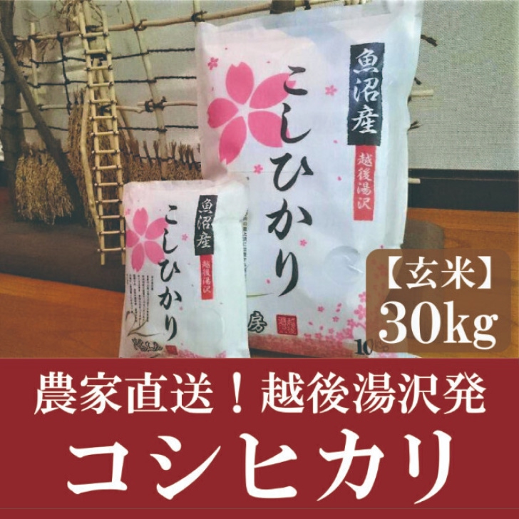 令和7年産 玄米30kg 農家直送！越後湯沢発 さくらファーム 南魚沼最上流域【湯沢産コシヒカリ】