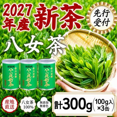 ふるさと納税 八女市 【先行受付】2027年産新茶 八女茶100% 「八十八夜新茶」 100g缶詰×3