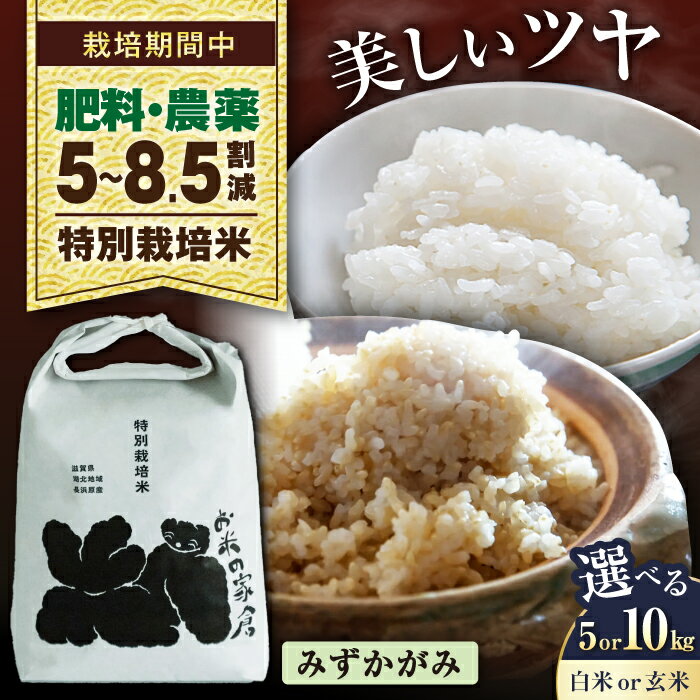 【ふるさと納税】【先行予約/令和7年産新米】【選べる】 特別栽培米 みずかがみ 5kg 10kg 選べる 精米方法 白米 玄米 | 米 こめ コメ 国産 お米 送料無料 お取り寄せ グルメ 長浜市/お米の家倉[AQCP053]