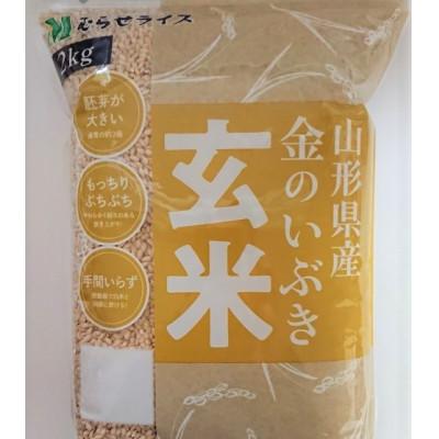 ふるさと納税 飯豊町 【令和7年産】飯豊町産　金のいぶき玄米4kg