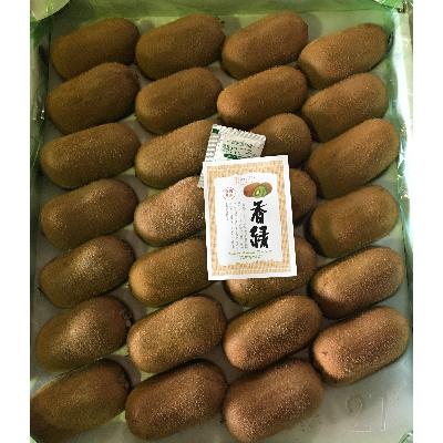 ふるさと納税 東かがわ市 香緑(こうりょく)キウイ　約3kg