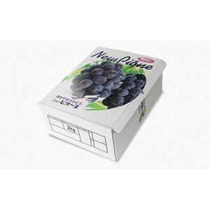 ぶどう 2026年 ご家庭用 旬のぶどう 2種類 合計 2kg 以上 産地直送 ぶどう ピオーネ