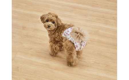 【4枚入×6個】ペット用おむつ ピタフィット ＸＳ 女の子用  FNPD-XS4