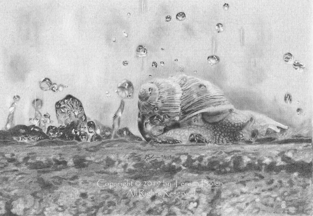 
                  鉛筆画 「Water Gems 9」 Bolen Teresa 数量限定 一点もの 原画作品 原画 アーティスト アート ART 芸術 芸術品 デザイン インテリア 絵画 おしゃれ 木津川市 京都府
                