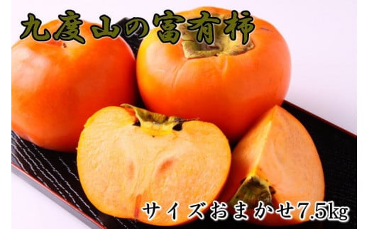 [柿の名産地]九度山の富有柿約7.5kgサイズおまかせ※2025年11月上旬～2025年12月上旬ごろ順次発送【tec403B】