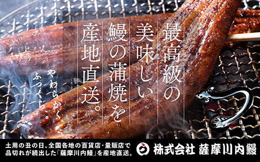 【3カ月定期便】国産うなぎ蒲焼（約170ｇ×5尾×3回）