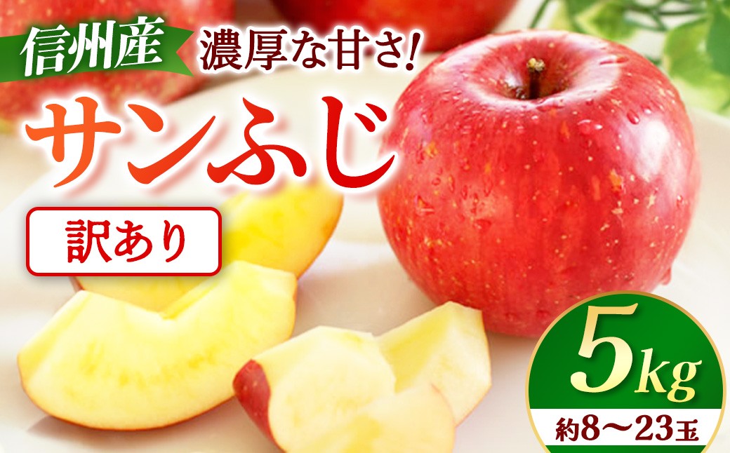 
                  【先行予約】※訳あり※ りんご　サンふじ　約5kg　＜2027年1月上旬～2月上旬発送予定＞　リンゴ｜長野県産｜果物｜くだもの
                