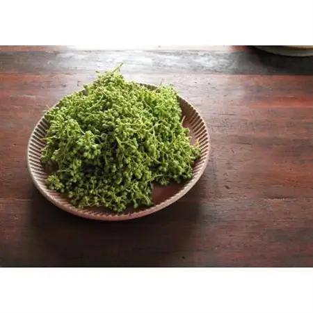 熊野牛　赤身ローストビーフ　500g(粉山椒付)【日高町】【配送不可地域：離島】【1220795】