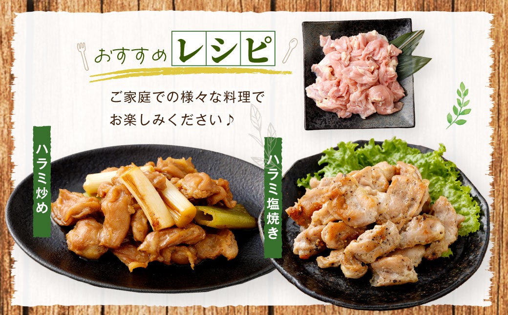 鹿児島県産 若鶏 ハラミ 約3kgセット
