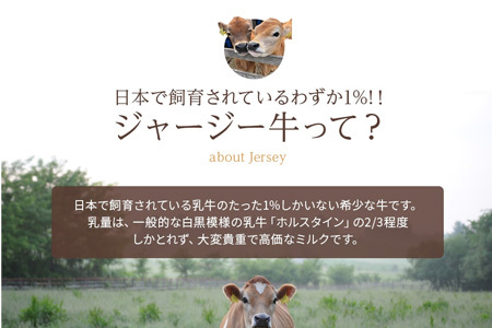 飲むヨーグルト・ジャージー牛乳セット 北海度 ヨーグルト [015-127]