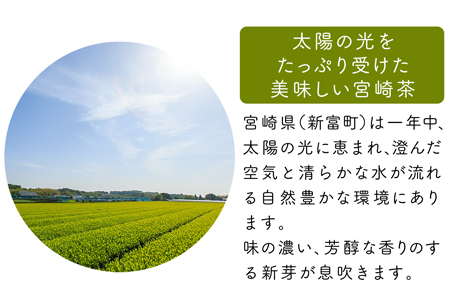 宮崎日本茶専門店 高級日本茶ギフトセット 雅ーMIYABIー【C69】