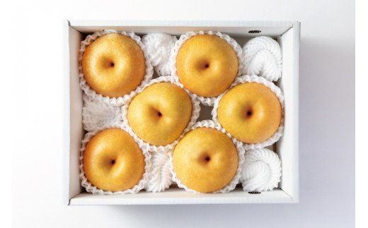 【先行予約受付】和歌山県産の美味しい梨 約2kg （6～8玉入り）【2026年8月中旬頃から9月中旬頃に順次発送予定】【mat103B】