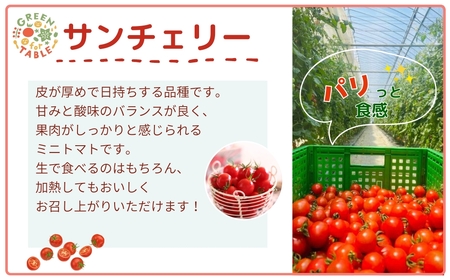 ミニトマト サンチェリー 1kg トマト 新鮮 野菜 農家直送 1キロ 人気 おすすめ おいしい 福島県 田村市 田村