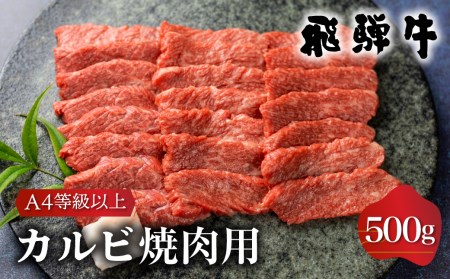 白川郷 飛騨牛 カルビ（肩バラ肉）焼肉用 500g カルビ [S335]