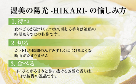 極上メロン 渥美の陽光-HIKARI-　2玉