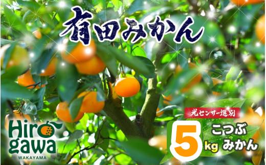 ちっちゃな 有田みかん こつぶみかん 家庭用 5kg （3S～2Sサイズ混合） 光センサー選別 ※2026年11月中旬～2027年1月中旬に順次発送予定 ※北海道・沖縄・離島への配送不可 / 温州みかん みかん 甘い 柑橘 果物 和歌山 【nuk004-s-5A】
