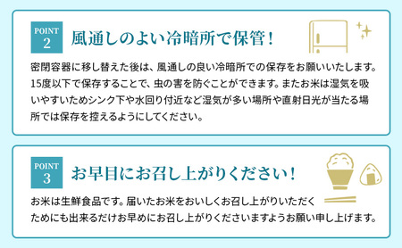 お米 みずかがみ 10kg 無洗米 特A 令和7年産 お米