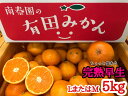 【ふるさと納税】【年内発送】【ちょっと傷あり】完熟早生 有田みかん 約5kg (LまたはMサイズ) みかん ミカン 蜜柑 柑橘 果物 フルーツ 国産 和歌山県広川町※11月中旬〜12月下旬頃順次発送予定※着日指定不可