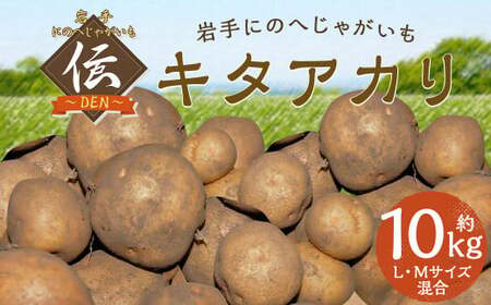 【厳選品】岩手にのへじゃがいも「伝」キタアカリ (L・Mサイズ混合)  10kg 【2025年9月中旬から2026年2月下旬発送予定】／ジャガイモ じゃがいも 芋 イモ 野菜 お取り寄せ 産地直送