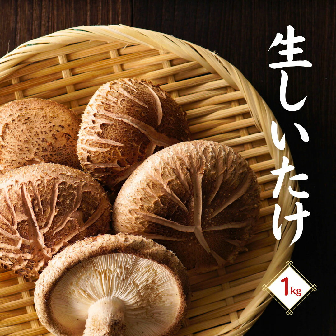 【ふるさと納税】 大分県産 しいたけ 津久見で育てた肉厚生しいたけ 1kg　|　津久見市 椎茸 菌床しいたけ シイタケ きのこ 冷蔵 大分県 九州 国産 産地直送 送料無料 【創造工房】