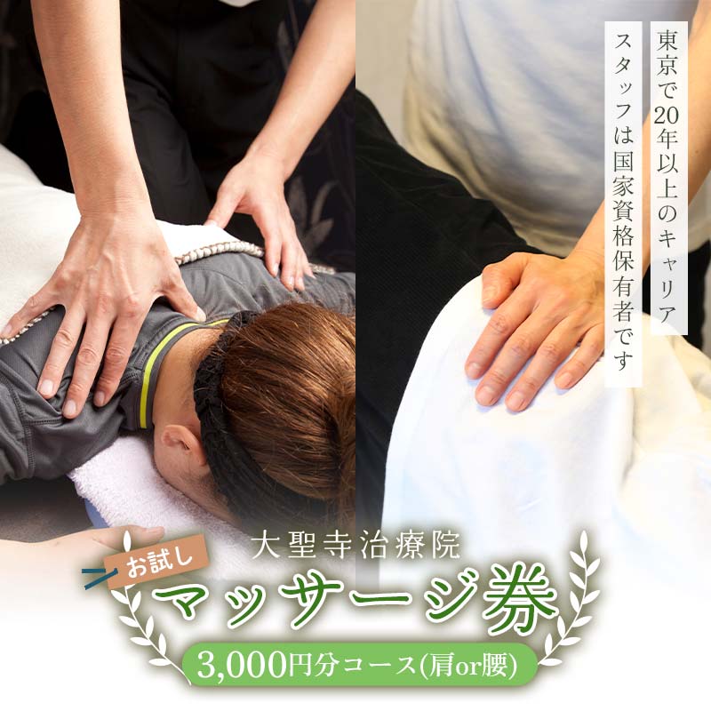 【ふるさと納税】【選べる種類】【お試し】肩・腰マッサージ券（3,000円分コース）大聖寺治療院 治療 整体 疲労回復 プレゼント 癒し F6P-2799var