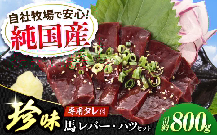 
            『純国産』熊本の味 馬 珍味 セット 計約800g（約200g×4セット）レバー ハツ 刺身 タレ付 馬肉 希少 熊本 生レバー 生ハツ 【有限会社 九州食肉産業】 [AYCN016]
          