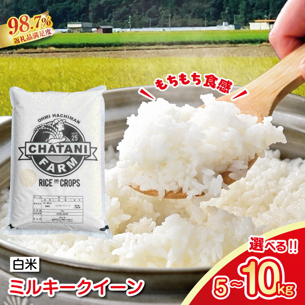 【ふるさと納税】【新米】令和8年産 茶谷ファーム 近江米　ミルキークイーン 白米 5kg / 10kg / 20kg 選べる 滋賀県産