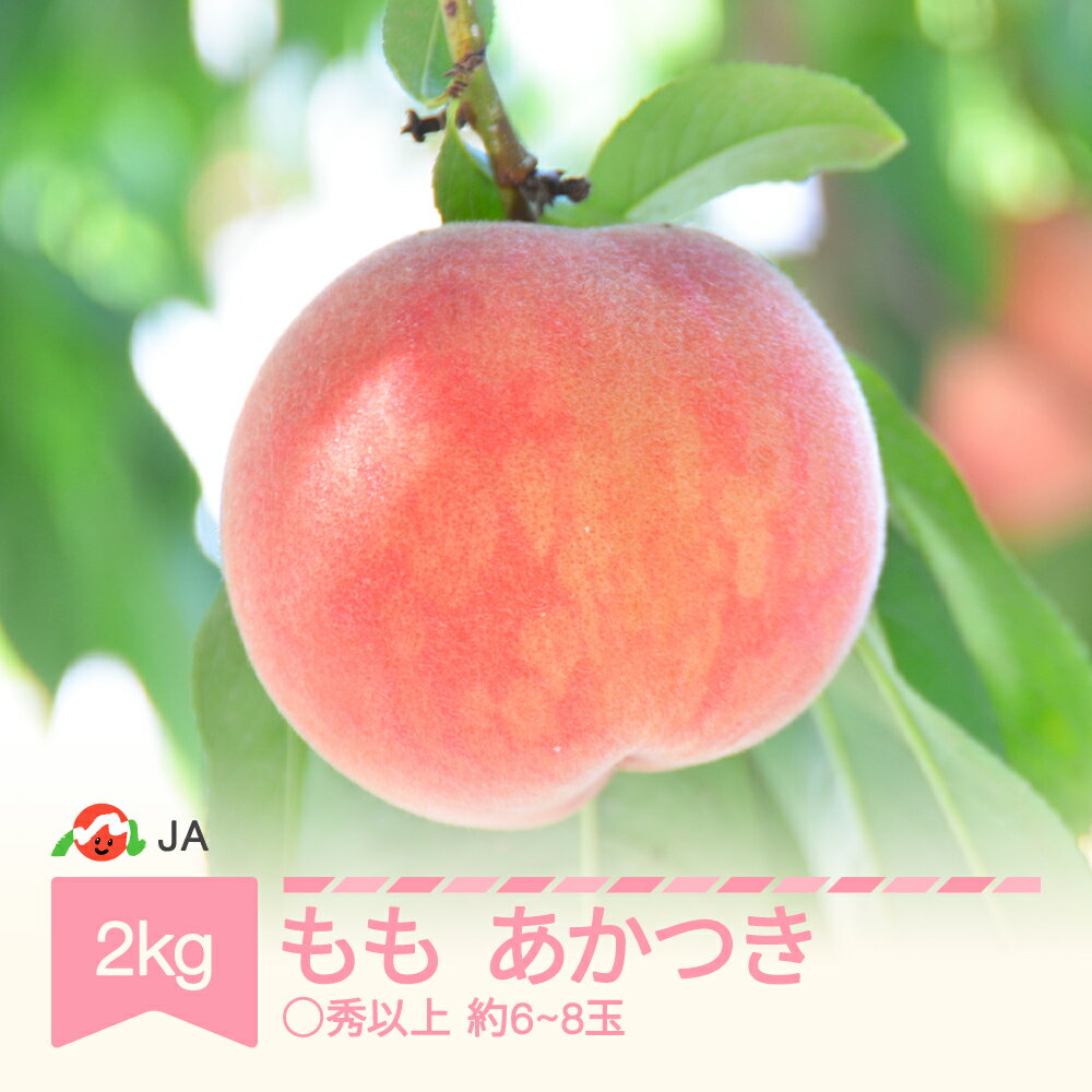 【ふるさと納税】【先行予約】 もも 桃 あかつき 約2kg ◯秀以上 (約6〜8玉) 令和8年産 2026年産 山形県村山市産 果物 フルーツ 送料無料