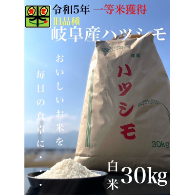 
            令和6年産　岐阜ハツシモ(旧品種)　30kg 白米【1460336】
          