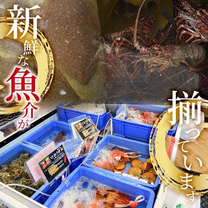 こだわりの塩うにセット(60g×1本)うに ウニ 雲丹 塩うに 冷凍 海の直売所 大分県 佐伯市【AS163】【海べ】