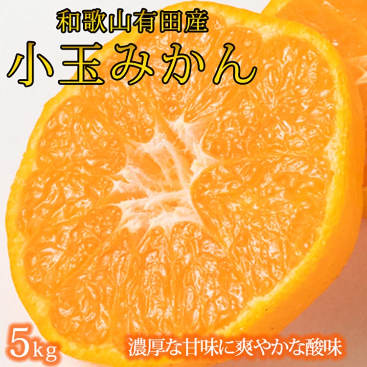 有田の小玉みかん5kg(S～3Sサイズ混合)◇｜みかん ミカン 柑橘 果物 くだもの フルーツ 甘い 小玉 先行予約 国産 濃厚 絶妙 糖度 酸味 産地直送 美浜町 ※2025年11月下旬〜12月下旬頃に順次発送予定