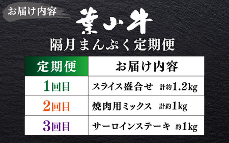 【隔月定期便全3回】葉山牛 まんぷく定期便 牛肉(スライス盛合せ・焼肉用ミックス・サーロインステーキ) 食べ比べ[ASBD060]