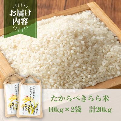 ふるさと納税 曽於市 【2025年10月中旬より順次発送予定】たからべきらら米20kg |  | 01