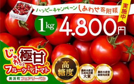 じゅわっと極甘のフルーツミディトマト 約1kg (バラ箱詰め) 幸せ寄附額 ハッピーキャンペーン 開催中【とまと トマト フルーツトマト ミディトマト ミニトマト トマトジュース 野菜 やさい 人気 