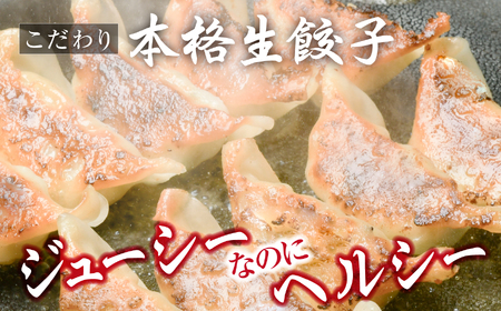 こだわり 本格 生 餃子 600個（約120人前） 味の匠 手作り 本格生餃子 味の匠 餃子 冷凍 国産 野菜餃子 豚肉餃子 こだわり ギョウザ 宮城県 塩竈市