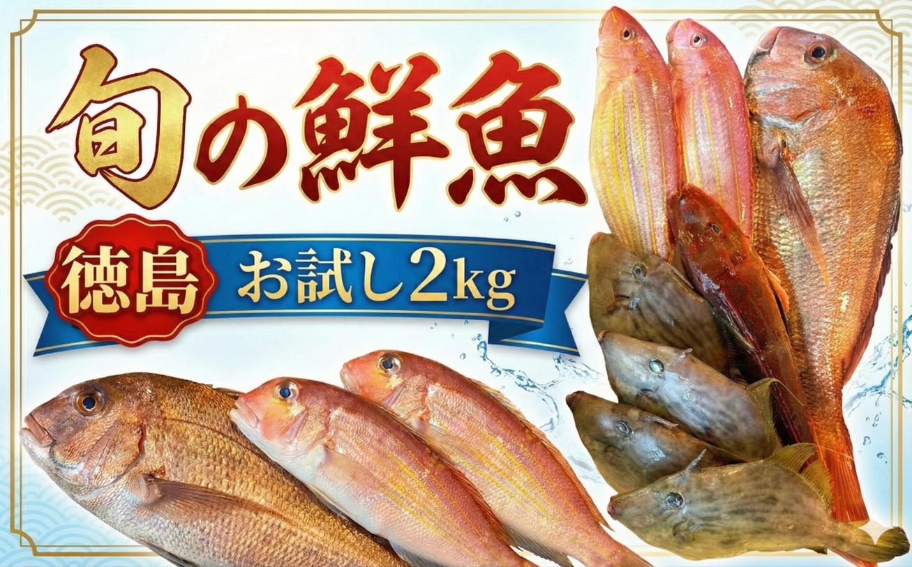 鮮魚BOX お試し 約2kg 刺身 刺し身 旬 海鮮 鮮魚 魚介 焼き 煮付け 炙り カルパッチョ 寿司 丼 おつまみ おかず ご飯に合う 米に合う コメに合う 家庭用 父の日 高級 冷蔵 徳島 馬地鮮魚