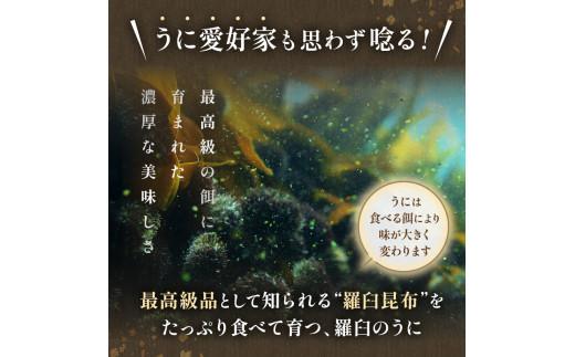 北海道知床羅臼産 天然エゾバフンうに （上）折うに 120g×1枚 2025年1月中旬から発送