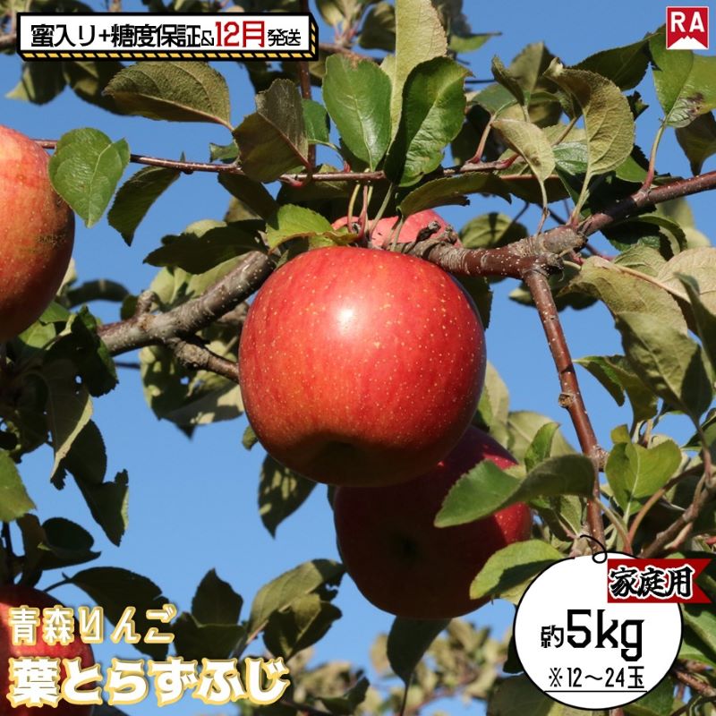 【ふるさと納税】りんご 【 12月発送 】 蜜入り ＆ 13度糖度保証 家庭用 葉とらず ふじ 約 5kg 【 弘前市産 青森りんご 果物 フルーツ 食後 デザート 旬の果物 旬のフルーツ 歯ごたえ 樹上完熟 】　お届け：2025年12月1日～2025年12月27日